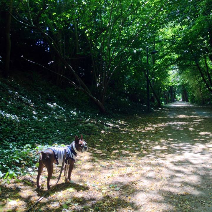 0282b1af 6fa3 4d79 88ea ae17fa46447a