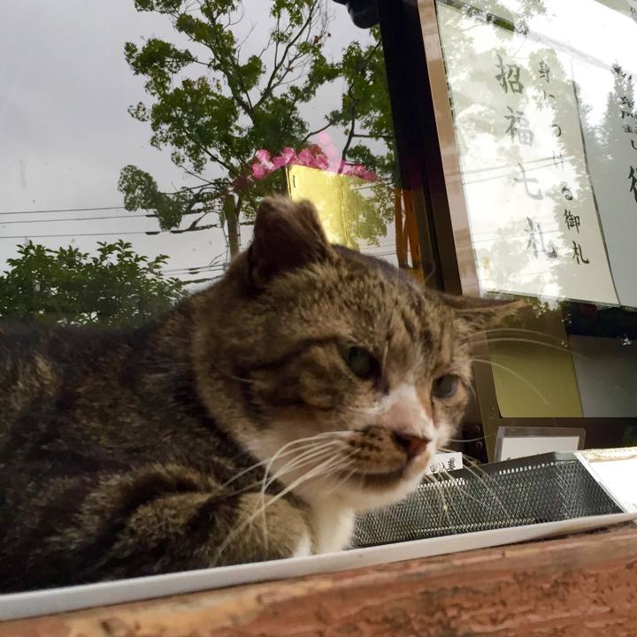 0283459b 7bf1 40ee a082 58502778aa41