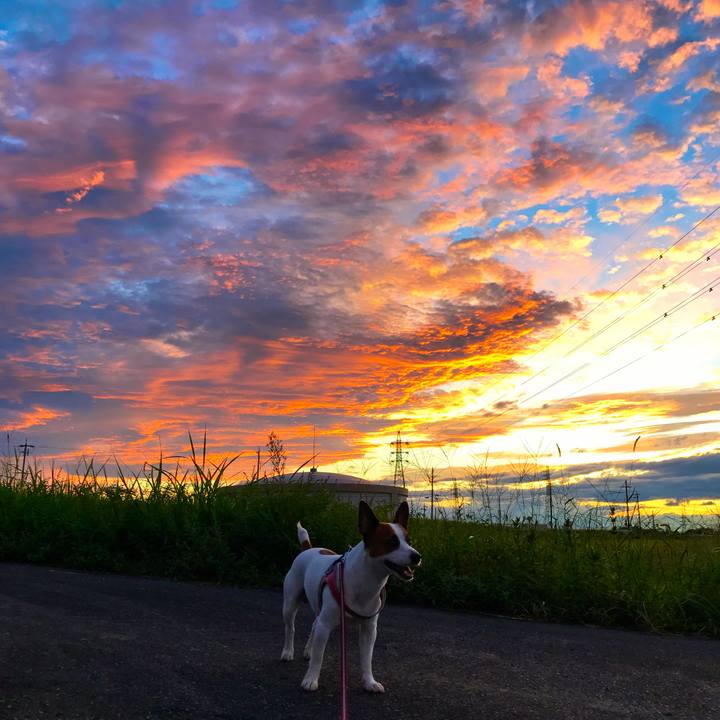 0284392b a664 44b1 997b 57787338dc46