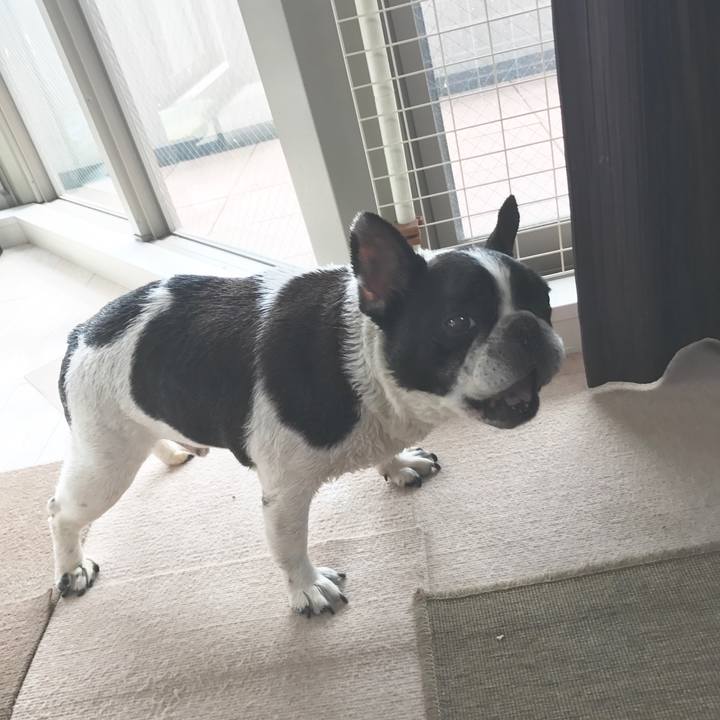 028446b1 9b3f 456c 8bd7 ec83fc79fde1