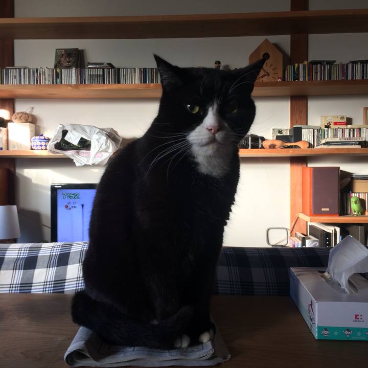 02847b0a b3b5 4b0f 9662 da9645b0a175