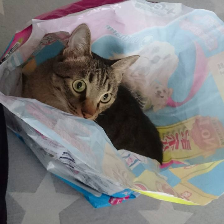 0284deee da2e 4f29 bdf0 884226d7d731