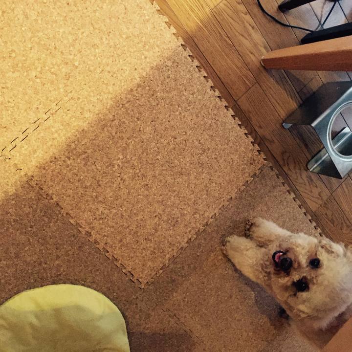 02851f4e c541 4fd7 bf4f a00fc3f153a5