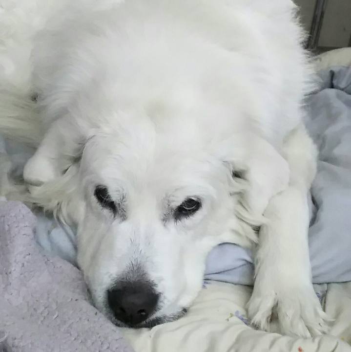 028527cd f601 4043 8b4d 6c8c773a8841