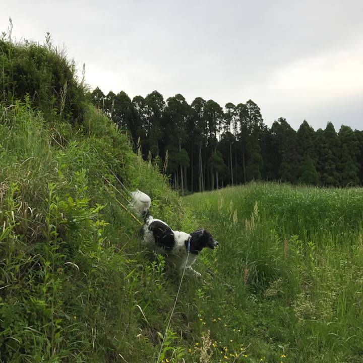 02852d54 5e70 4c8f 9cb0 1a24453a16b1