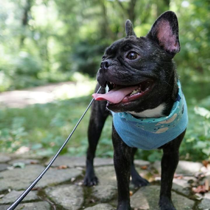 02854f57 bd12 4a40 b774 3db5acae4c5e