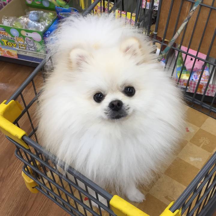 0285c504 fb48 4c48 90cc 657e55a98f58