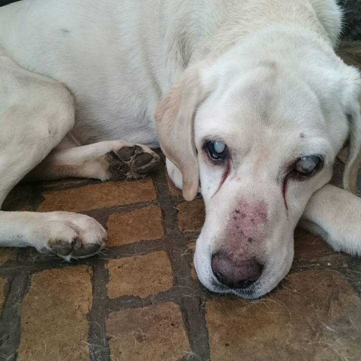 0285ce63 615b 431a 90f6 3348f832a6af