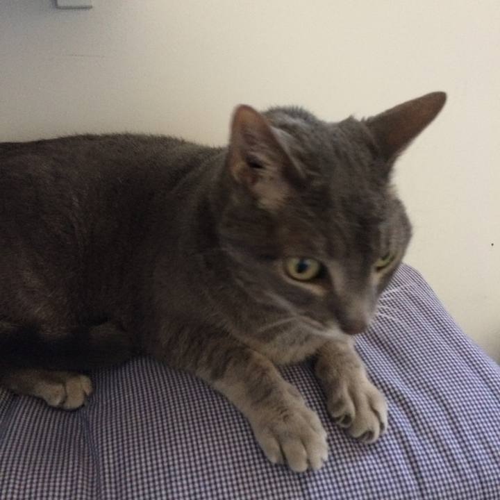 0285e5be 5abe 4eaf a591 b976c97d9d04