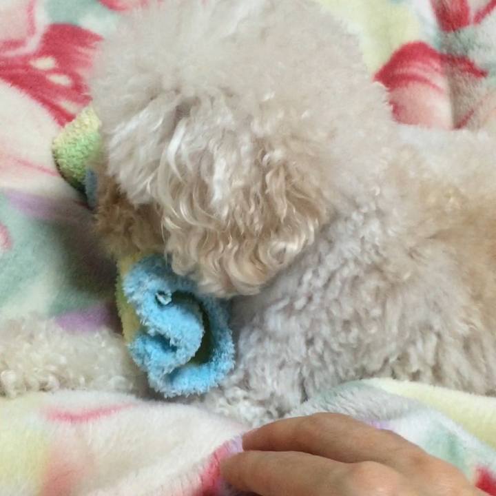 028635cb dff2 4db6 999e b6bdf39161c6