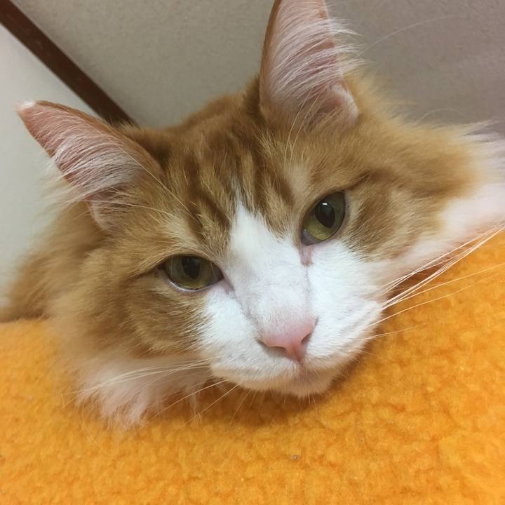 02863aca 2d31 4a34 9c2b a30b124cd0af