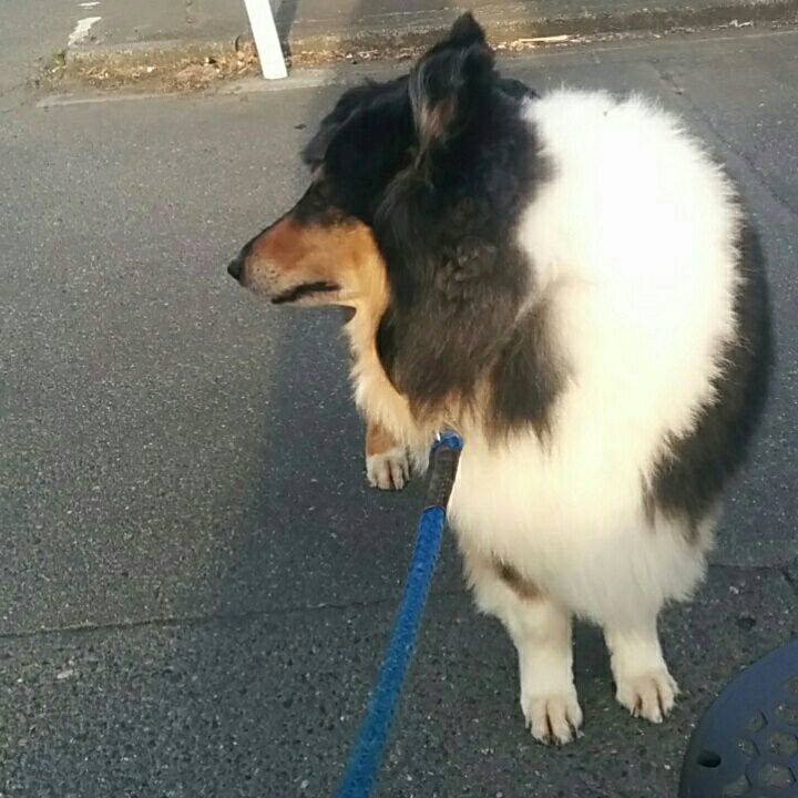 0287118b 5662 4a54 bf0e 7b1258ebb67e