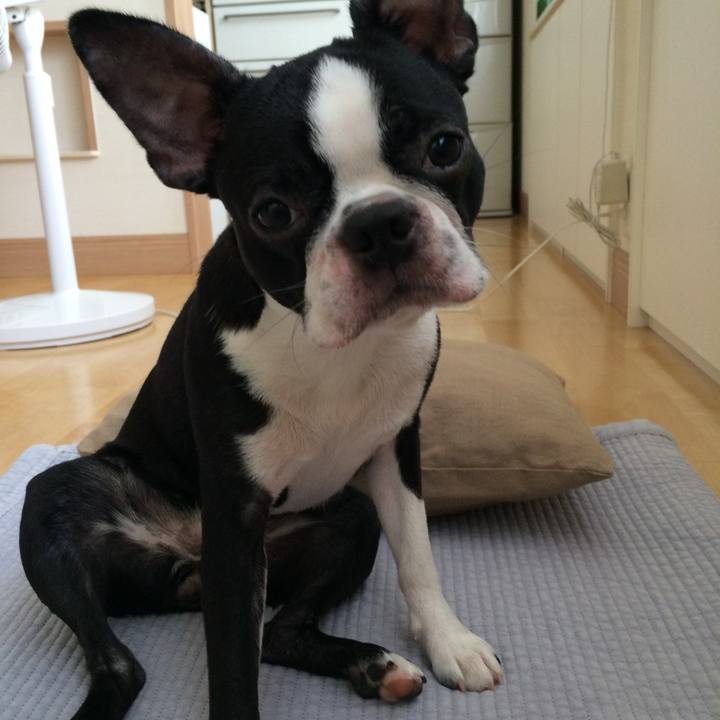 02876e0b c763 4ff4 b669 1658881cd704