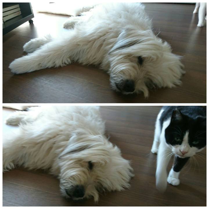 0287cef6 fb85 4f1f abed 2d2eef06e20a