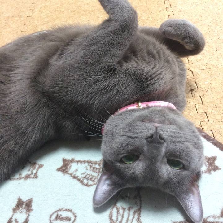 0287e9db 9459 480f 9edd e51bdca30682