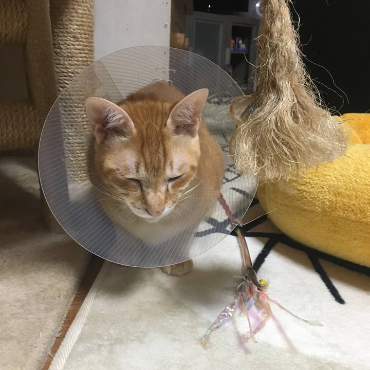 028869f5 68e9 4ace 94e4 05cc49092a6c