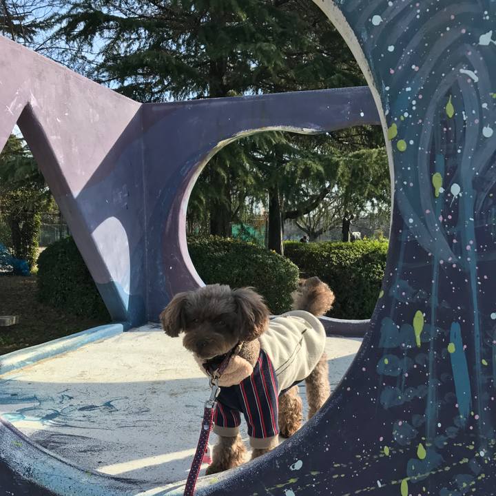 02892455 a401 4b6b 9758 9381c1aa345b