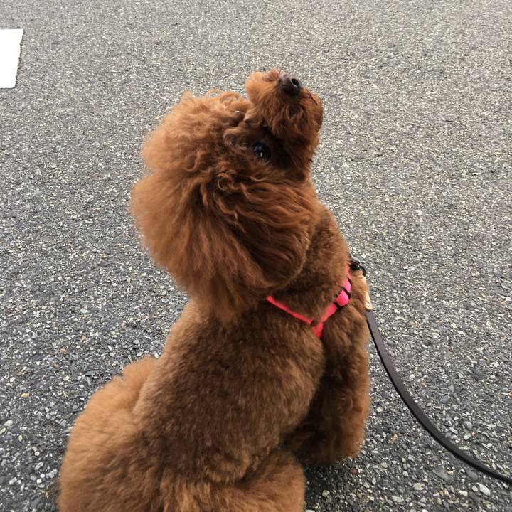 028962f4 602b 436a 9d66 f80ee8c85f70