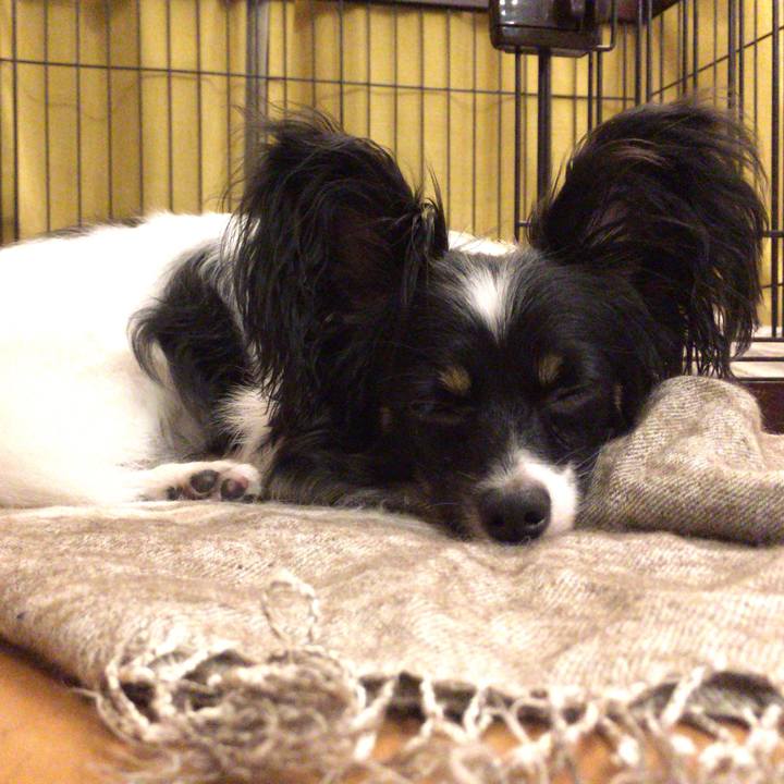 028a45f1 aa31 4c3c a5fa a049f08a5624