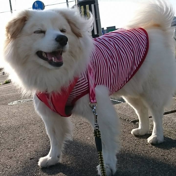 028a7230 c609 400c be57 3520e5c7e03a