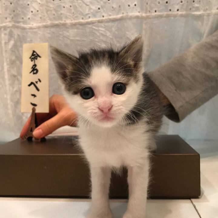 028c02bb e1d3 401f 9fbb 705da12fb3af