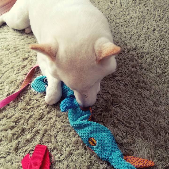 028c26ad 0152 407c 8088 e979815170ad