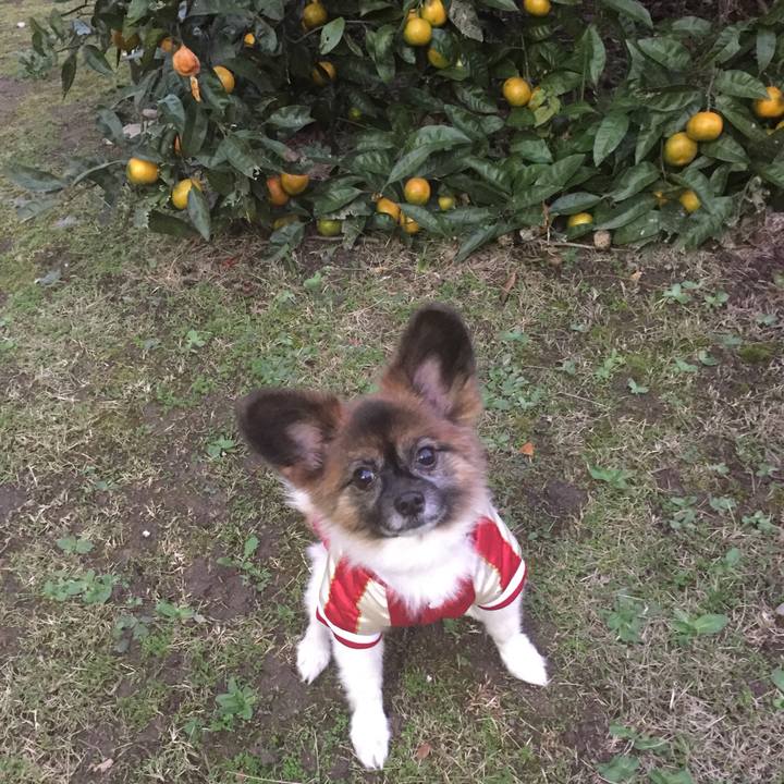 028cb204 b370 48ac 9252 588ef7314e6e