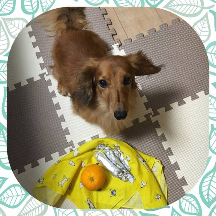 028edead 8977 473d a91a 10e62f7a94e9