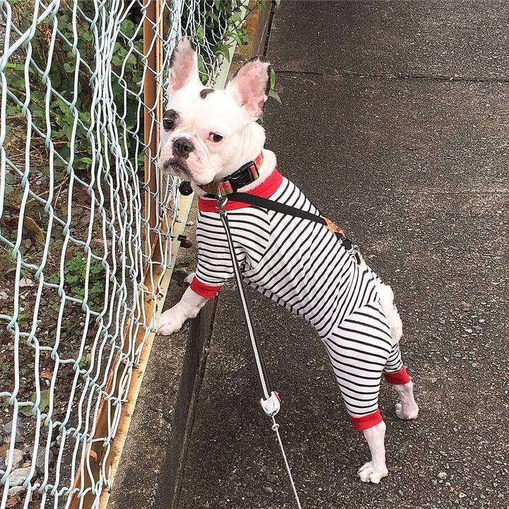 028ffd95 dbdd 41a0 818f be3201868ad0