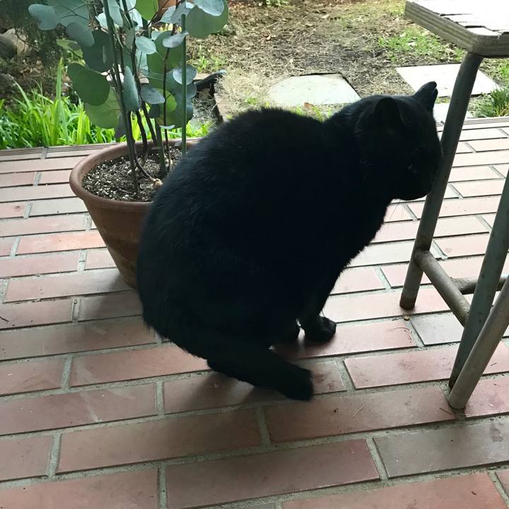 029179f1 943e 4024 b8f6 a2451690dcca