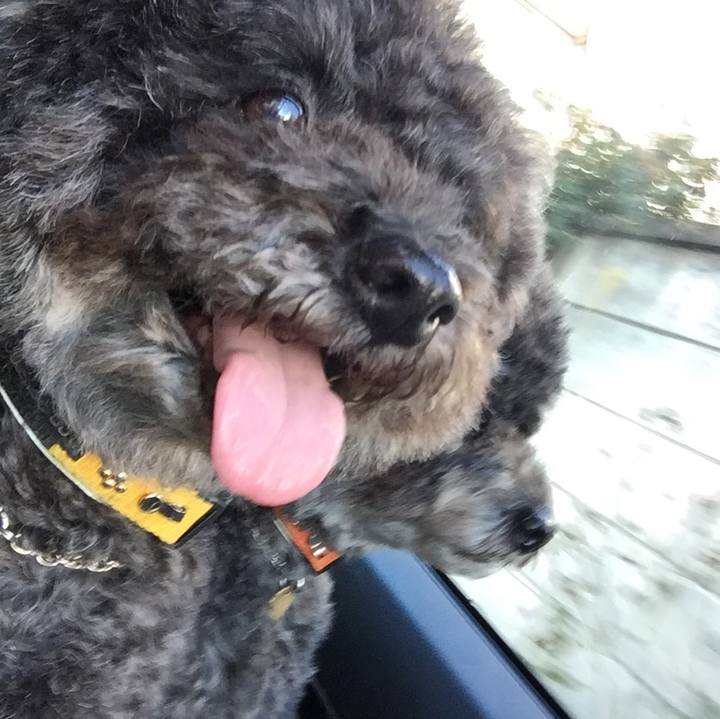 02919b93 199a 4ad3 80cd 2704975f8c71