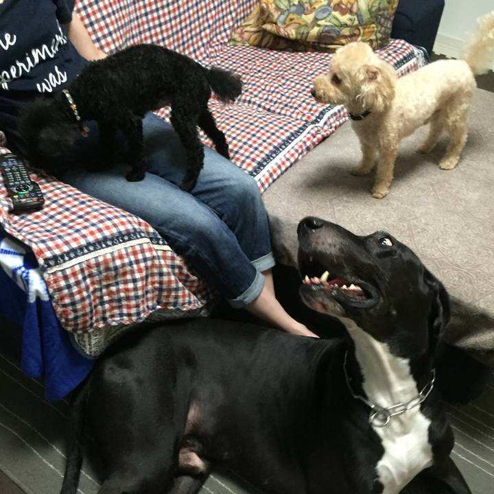 0291b78e fd62 468b 973d 2f0b4be750a3