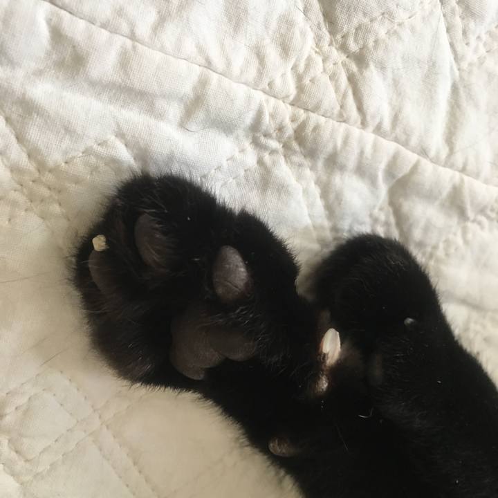 0292025d 6187 4341 8825 23a5de86b9fb