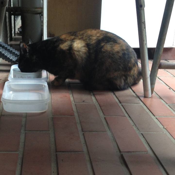 02921da0 ef39 4a2a 8ef2 5e35d3994d4a