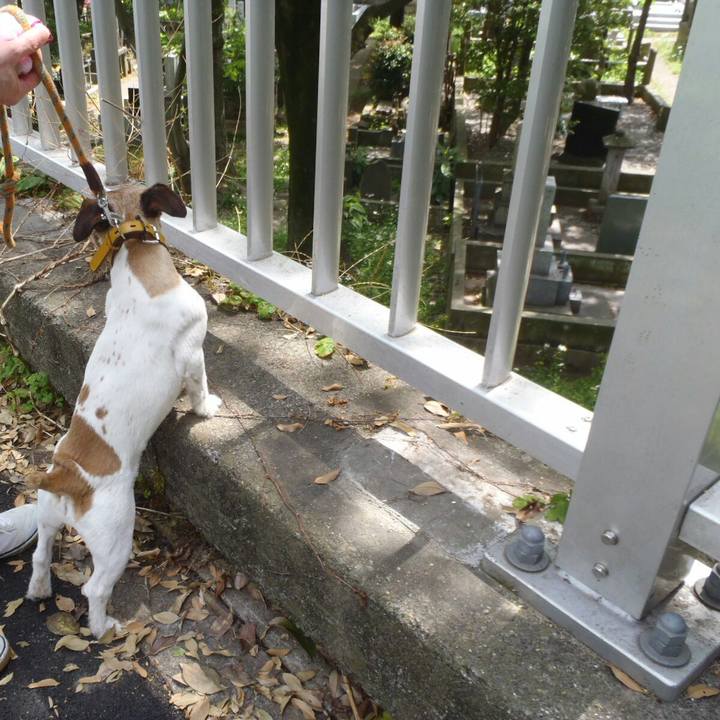 02927e65 ff9e 44cc 8484 e6edc43d6e9d