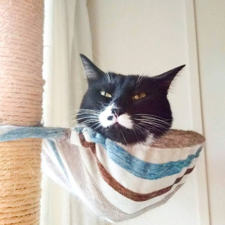 029426c9 5e78 4b1d adf8 74346dd9d039