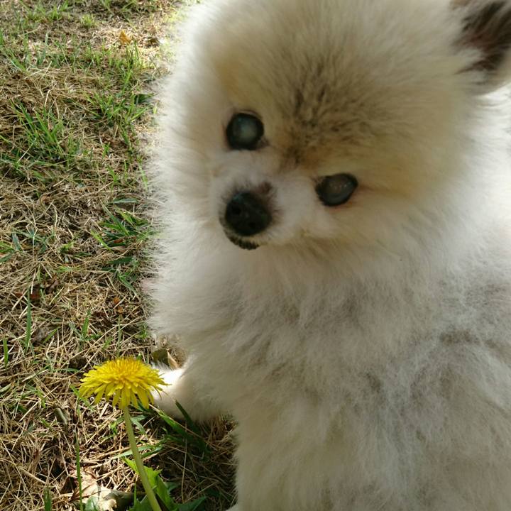 02946b57 2cd7 4f1c 9b18 7119ba7c23dd