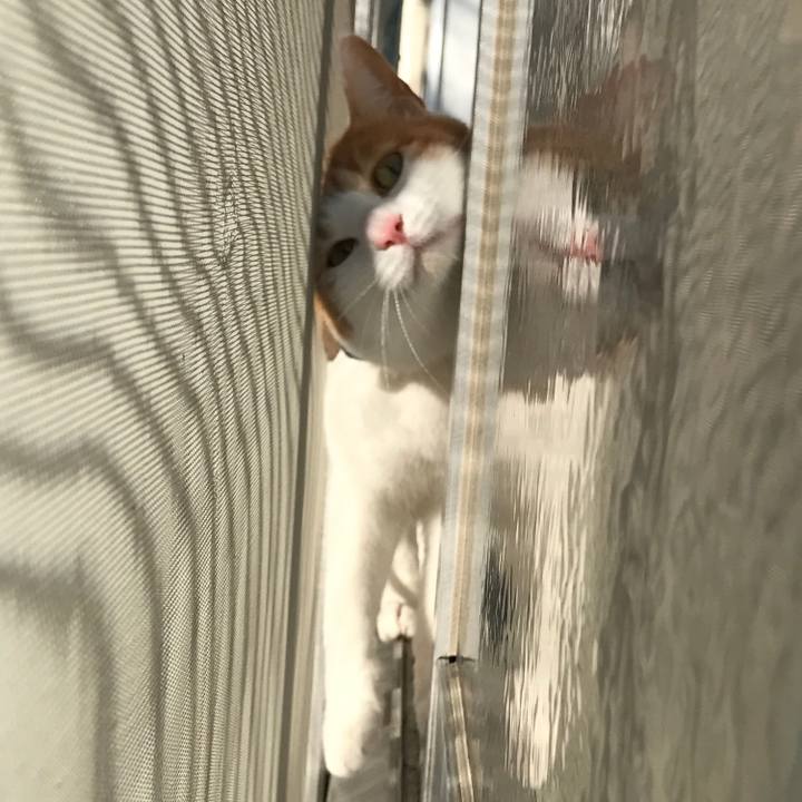 0294a638 e192 4783 a49e 7af0f4daa58e