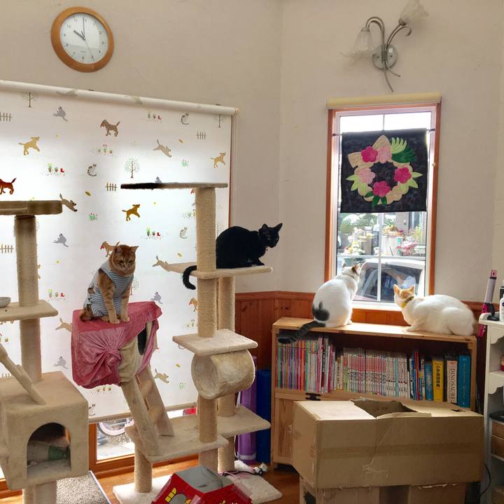 0294b62c 3de4 45f5 90e7 655cec04a248