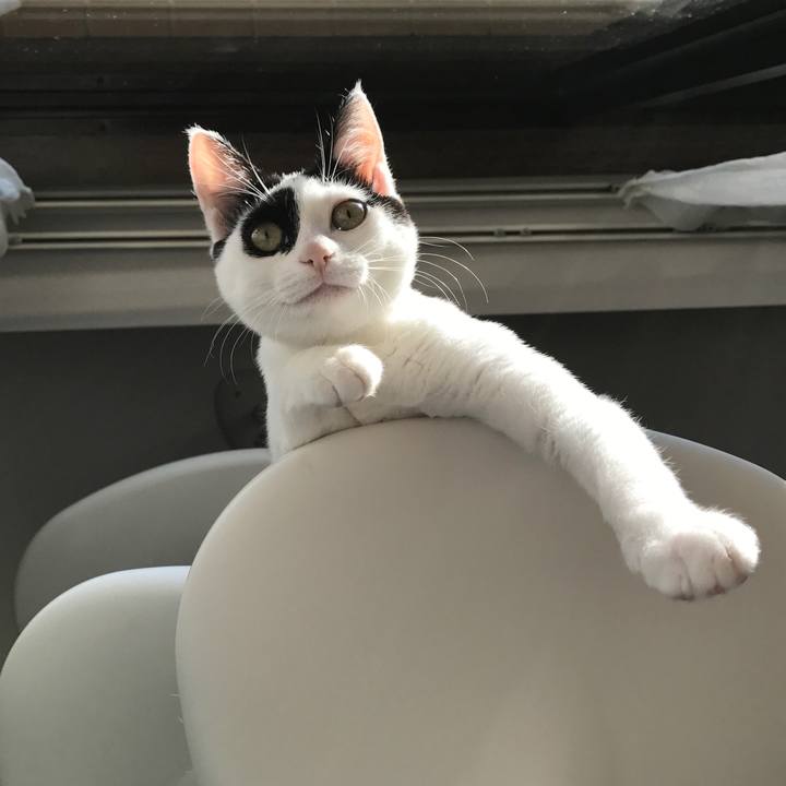 0295024a 4e19 4c8f 80d7 4b4eb8e84c49