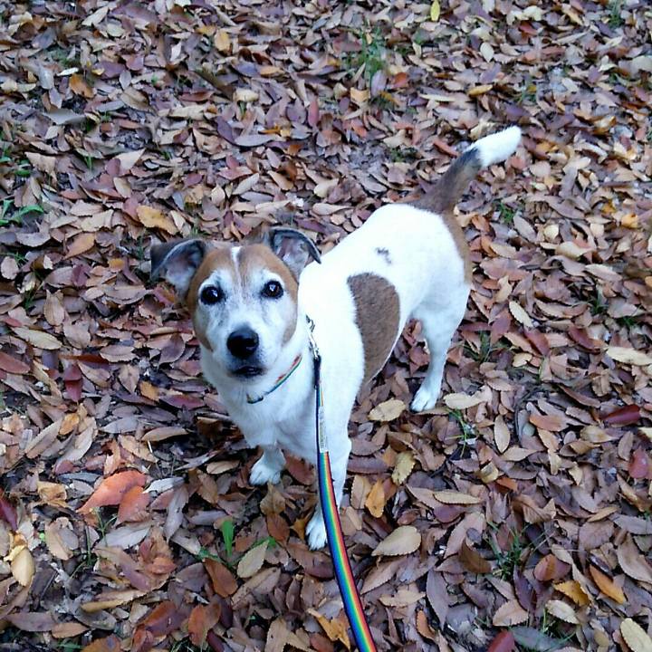 02951347 f003 41d2 a979 a0fd0356be96