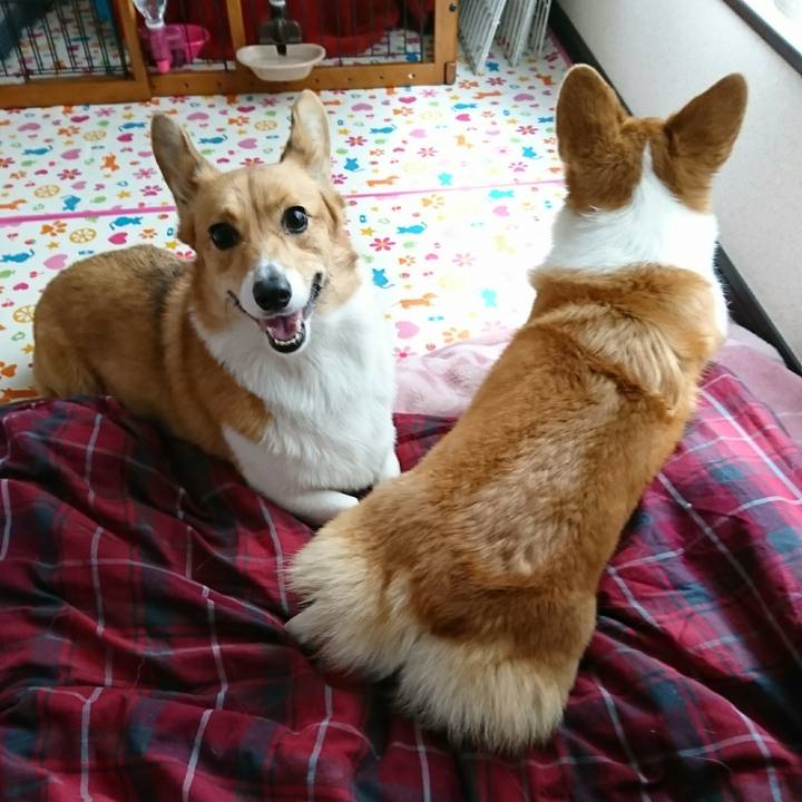 02951ed2 ba2d 43af a2e6 5107690bc520