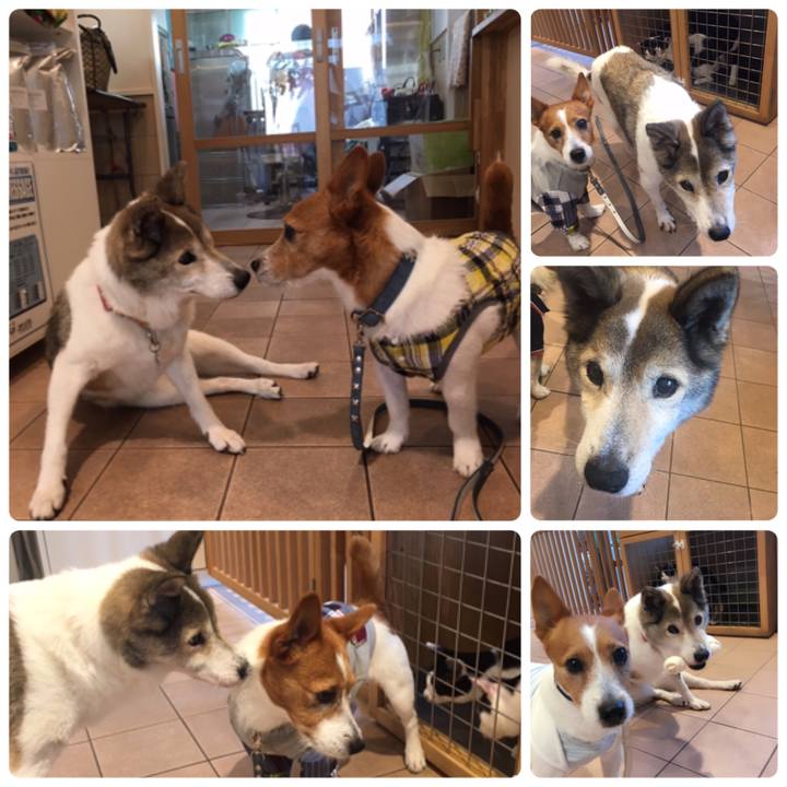 029523ab ab77 43d5 835d f0f61b40d029