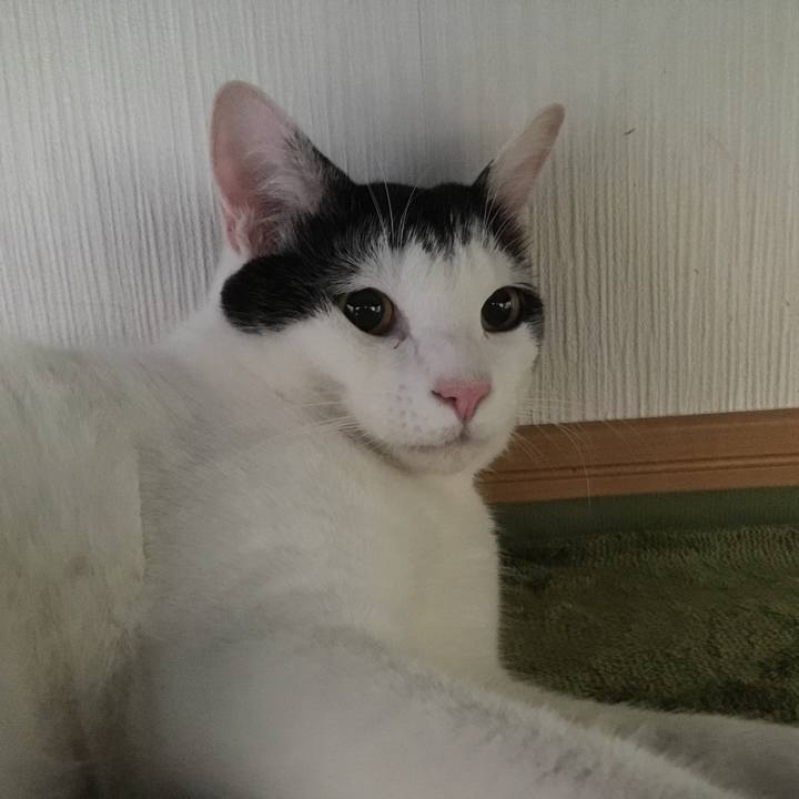 029529ea 4183 4aff acc3 365a28e5d9fa