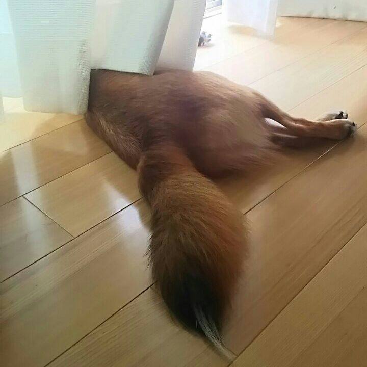 02952edf 5f1a 4182 8992 bb75da585053