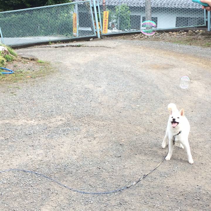 02955032 a5d6 42b8 91a0 9c2eb391cb35