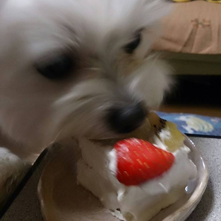 029682a6 aacc 479a 9451 48056ecbf147