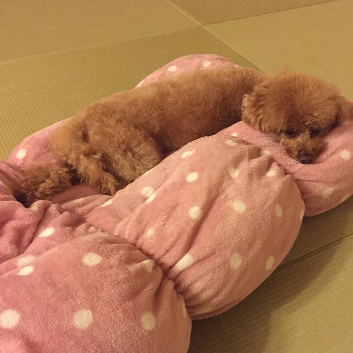 029721ac dba0 48c9 a14b 2368d1c0794e