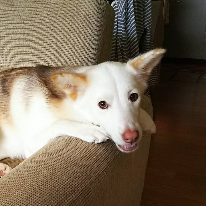 0297270e 0664 4afc 8cd0 4edd2195e520