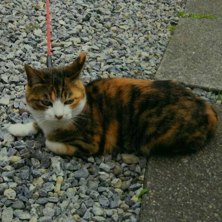 029755db 9af4 474c 981f b120fbed0546